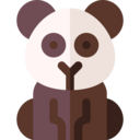 animals,wildlife,animal,zoology,panda bear ok 
